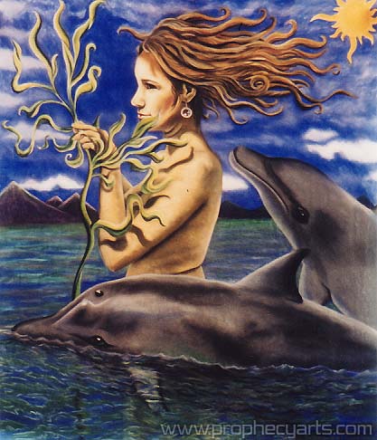 dolphins_woman